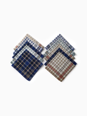 Платки носовые мужские «Экономь и Я. Квадрат» 38×38 см, набор 10 шт., рис. МИКС