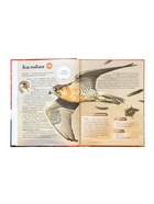 Книга в твёрдом переплёте  "Красная книга мира", 160 страниц 10890648