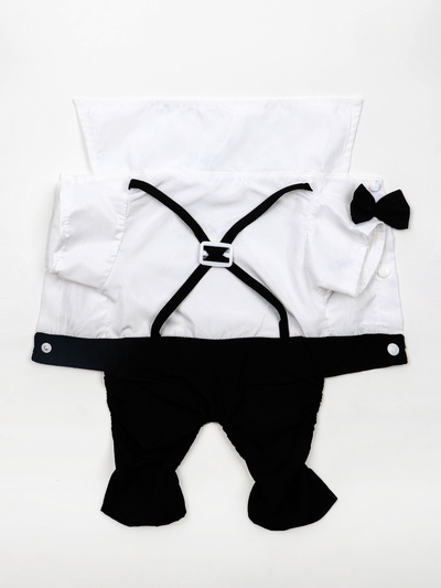 Костюм для животных «Джентельмен», размер S (ДС 25, ОГ 35 см)