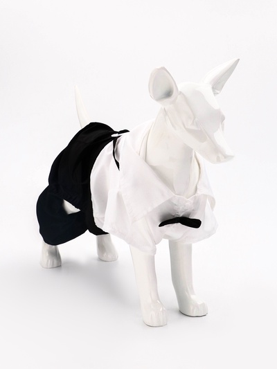 Костюм для животных «Джентельмен», размер XL (ДС 40, ОГ 50 см)