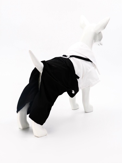 Костюм для животных «Джентельмен», размер XL (ДС 40, ОГ 50 см)