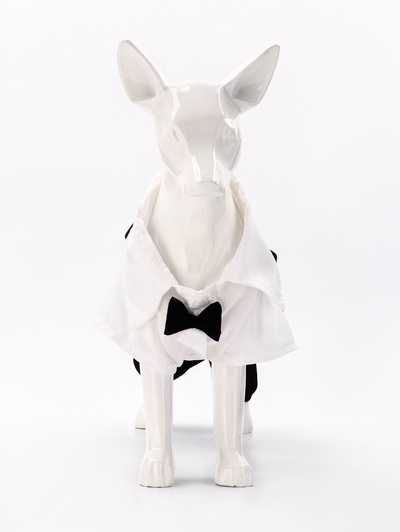 Костюм для животных «Джентельмен», размер XL (ДС 40, ОГ 50 см)