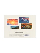 Набор альбомов д/рис А4, 40л на скобе Calligrata, обл мел карт 2шт 10927131