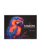 Набор альбомов д/рис А4, 40л на скобе Calligrata, обл мел карт 2шт 10927131