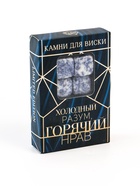 УЦЕНКА Набор камней для виски "Холодный разум", 4 шт - Фото 4