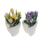 композиция подснежники 13*10 см - Фото 3