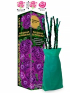 Саженец Роза Кардинал де Ришелье Галльские, 1 шт. Весна 2026  (артикул 10920784)  большой выбор товаров оптом и в розницу по низким ценам с доставкой