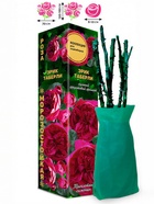 Саженец Роза Эрик Таберли Клаймбер, 1 шт. Весна 2026  (артикул 10920838)  большой выбор товаров оптом и в розницу по низким ценам с доставкой