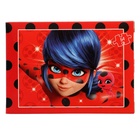 УЦЕНКА Пазл 54 эл. "Леди Баг и Супер-Кот" 71216 - Фото 1