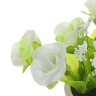 Композиция в лейке 11*15 см - Фото 2