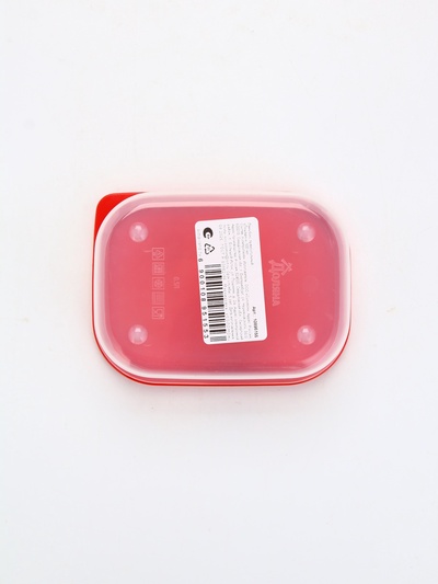 Ланч - бокс прямоугольный «Новогодняя лошадка», 500 мл