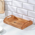 УЦЕНКА Поднос маленький с декором, с покрытием, 30×20×6.5 см - Фото 2
