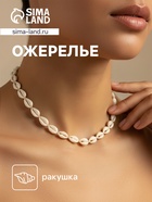 Ожерелье из ракушек «Окелани», длина 23 см, бежевый - Фото 1
