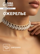 Ожерелье из ракушек «Кэйа», длина от 17 до 33 см, бежевый - Фото 1