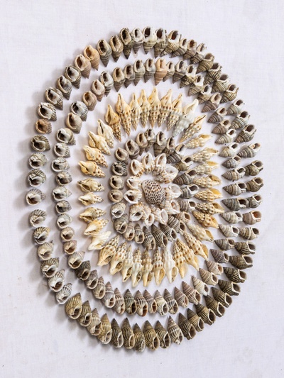 Панно «Композиция из ракушек», 45×3×45 см