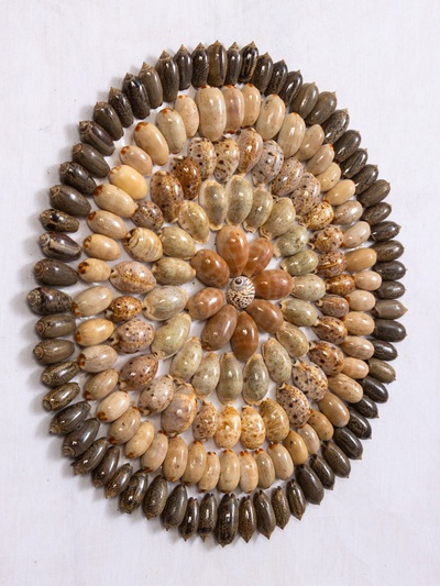 Панно «Композиция из ракушек», 45×3×45 см