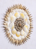 Панно «Композиция из ракушек», 45×3×45 см - фото 809305206