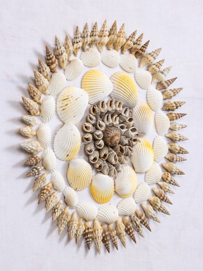 Панно «Композиция из ракушек», 45×3×45 см