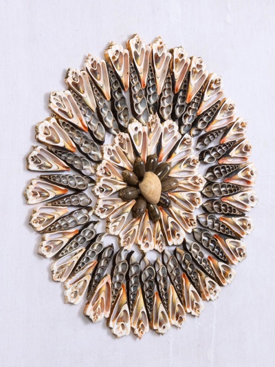 Панно «Композиция из ракушек», 45×3×45 см