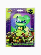 Воздушный шар фольгированный 25" «Черепашки Ниндзя» 10939886 - фото 319938898