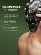 Подарочный набор мужской DREAM NATURE SPA CARE «Японские мотивы», шампунь 500 мл, гель для душа 500 мл - Фото 2