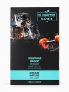 Подарочный набор мужской DREAM NATURE SPA CARE "Сила льда": шампунь 2 в 1 и гель для душа, по 500 мл - фото 58175976