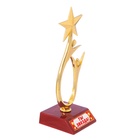 УЦЕНКА Кубок «Ты звезда», наградная фигура, золото, пластик, 18×7 см 10946178