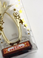 УЦЕНКА Кубок «Ты звезда», наградная фигура, золото, пластик, 18×7 см 10946178