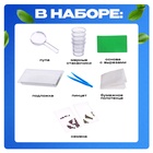 УЦЕНКА Набор для опытов «Экоферма», своими руками 10943303
