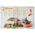 Детская энциклопедия «Кошки и котята» - Фото 5