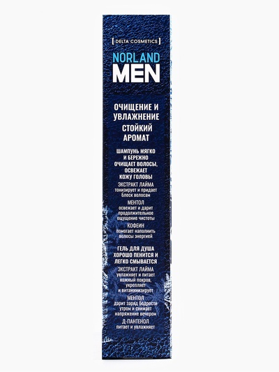Подарочный набор мужской Norland Men Ice Freshness, гель для душа 250 мл, шампунь 250 мл
