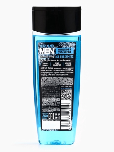 Подарочный набор мужской Norland Men Ice Freshness, гель для душа 250 мл, шампунь 250 мл