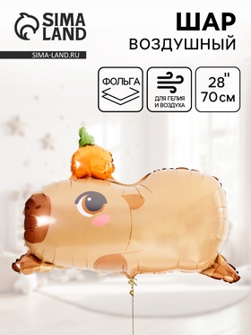 Воздушный шар фольгированный 28