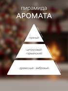 Новогодний ароматический диффузор Aromantique «Снежные легенды», с палочками, для дома, 50 мл - Фото 2