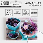 УЦЕНКА Алмазная вышивка на холсте 30×40 см с частичным заполнением «Ягоды» 10946738