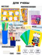 УЦЕНКА Набор первоклассника 54 предмета « Набор отличника 5+» - Фото 3