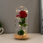 УЦЕНКА Ночник «Колба с алой розой» LED от батареек 3ААА 19.5×9.5×9.5 см RISALUX - Фото 2