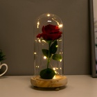УЦЕНКА Ночник «Колба с алой розой» LED от батареек 3ААА 19.5×9.5×9.5 см RISALUX - Фото 3