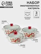 Набор кастрюль эмалированных «Астры-1-Экстра», 3 предмета: 2 л, 3 л, 4 л, белый - Фото 1