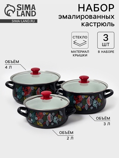 Набор кастрюль эмалированных «Лесная ягода-1-Экстра», 3 предмета: 2 л, 3 л, 4 л, чёрный
