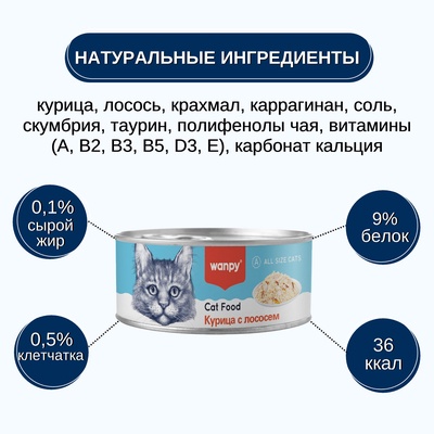 Wanpy Cat Консервы для кошек «Курица с лососем» 95 г