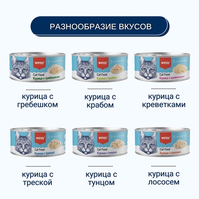 Wanpy Cat Консервы для кошек «Курица с лососем» 95 г