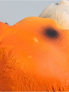 УЦЕНКА Копилка «Собака с кошкой» 25×17×20 см - Фото 11