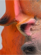 УЦЕНКА Копилка «Собака с кошкой» 25×17×20 см - Фото 15