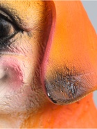 УЦЕНКА Копилка «Собака с кошкой» 25×17×20 см - Фото 16