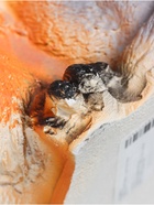 УЦЕНКА Копилка «Собака с кошкой» 25×17×20 см - Фото 6