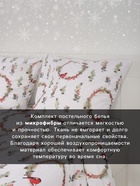 Постельное бельё 1.5-спальное «Этель. Снегири (вид 2)», поплин - фото 118995075 Постельное бельё 1.5-спальное «Этель. Снегири (вид 2)», поплин - фото 118995075
