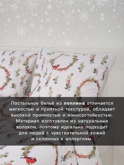 Постельное бельё 1.5-спальное «Этель. Снегири (вид 2)», поплин