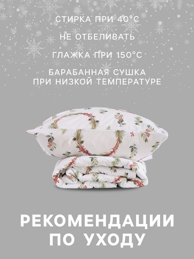 Постельное бельё 1.5-спальное «Этель. Снегири (вид 2)», поплин