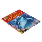 Детская энциклопедия. Киты и дельфины - Фото 2